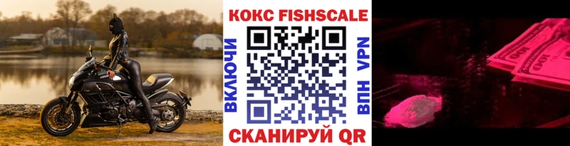 KRAKEN вход Николаевск-на-Амуре COCAIN Fish Scale