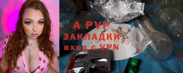 apvp Алексин