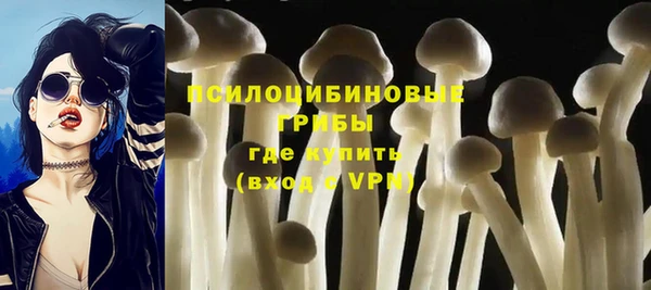 первитин Алексеевка