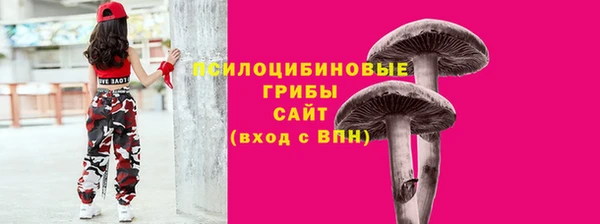 apvp Алексин