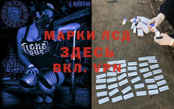 прущие грибы Алзамай