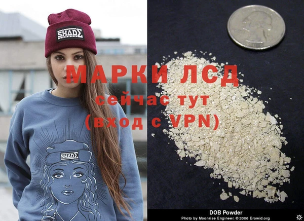 прущие грибы Алзамай