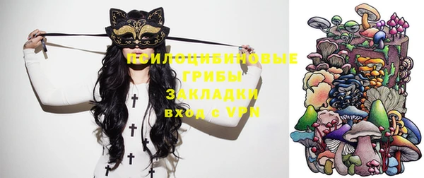 прущие грибы Алзамай