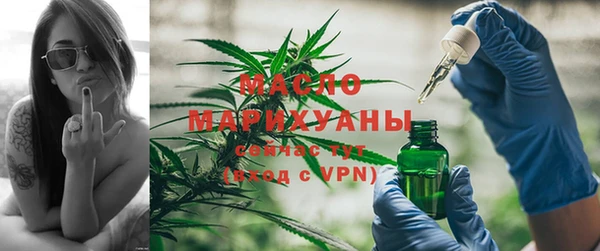 прущие грибы Алзамай